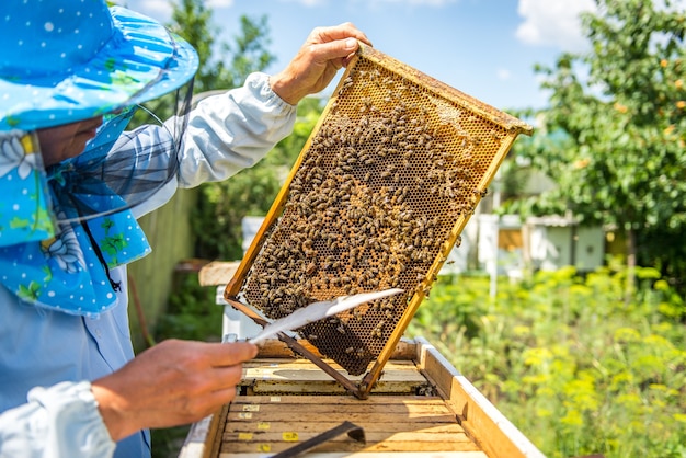 Gros plan d'un apiculteur explorant l'extérieur en nid d'abeille
