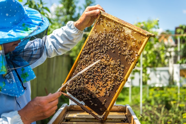 Gros plan d'un apiculteur explorant l'extérieur en nid d'abeille