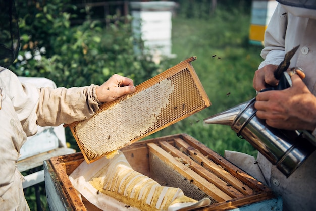 Gros plan de l'apiculteur tenant un nid d'abeille