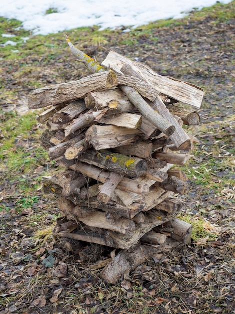 Gros plan d'un arbre coupé sur du bois de chauffage entassé sur le sol au printemps dans le village