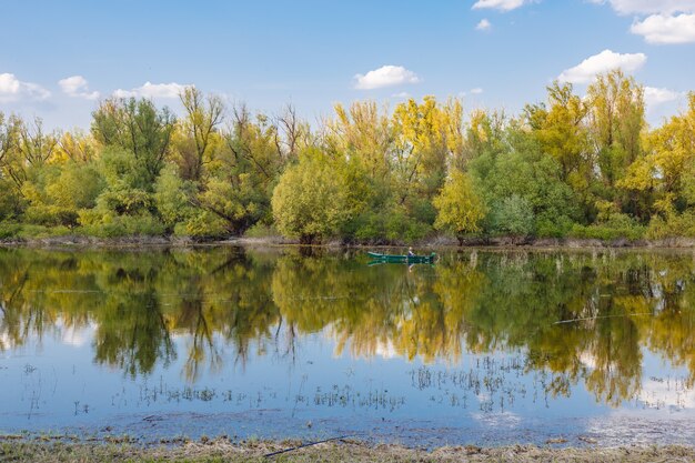 Gros Plan D'arbres Reflétés Dans Le Lac Sous Un Ciel Lumineux