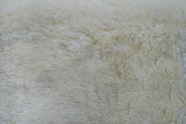 Gros plan d'arrière-plan de peaux avec fourrure de bélier