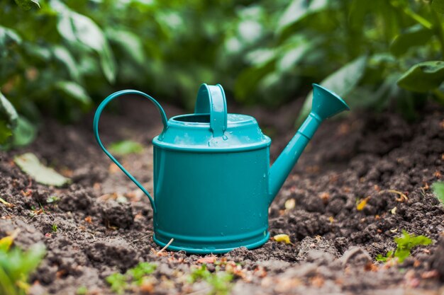 Gros plan d'un arrosoir en métal turquoise