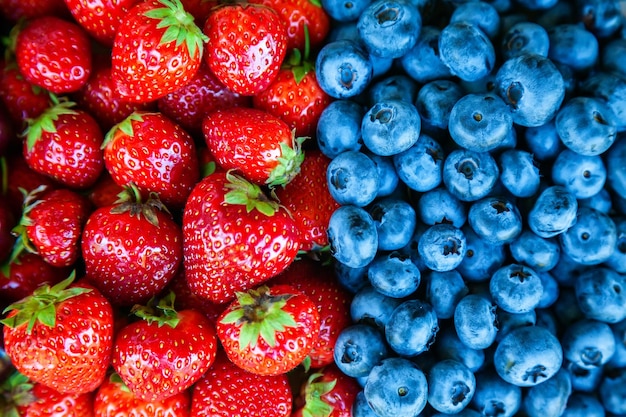 Gros plan de baies fraîches colorées d'été fraise et myrtille