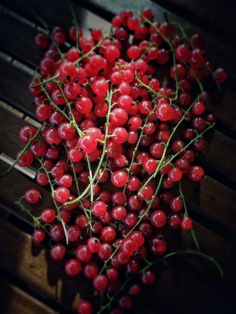 Un gros plan des baies rouges