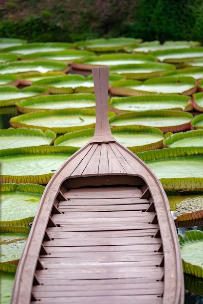 Photo gros plan sur un bateau vintage en bois dans l'étang de feuilles de lotus sur le terrain de la porte
