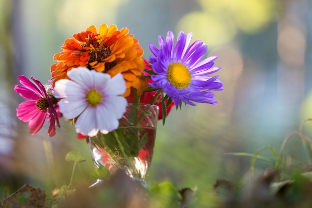 Photo gros plan, bel, automne, lumineux, champ, fleurs multicolores