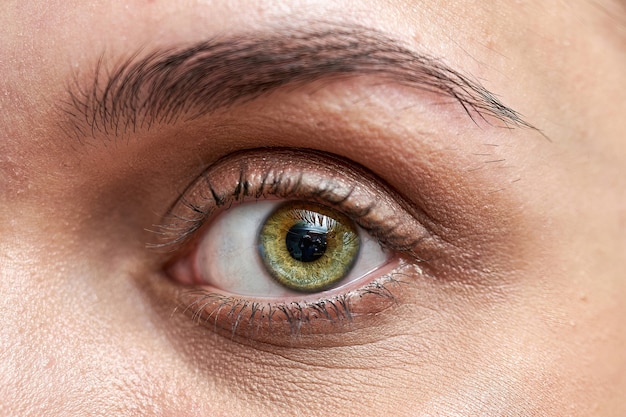 Gros plan d'un bel œil féminin et d'un sourcil traité, macro shot