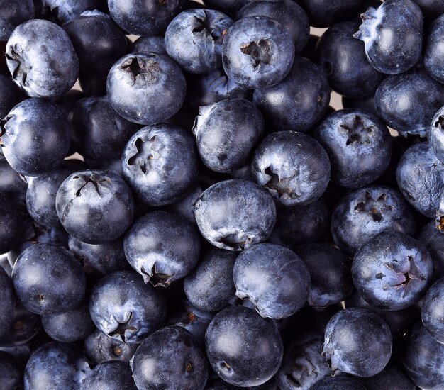 Gros plan de bleuets mûrs frais