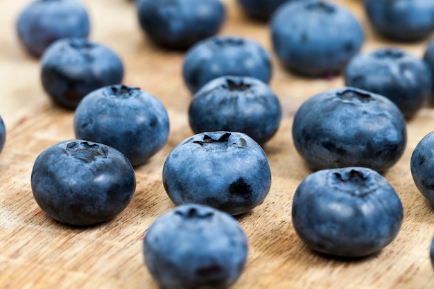 Gros plan sur les bleuets mûrs