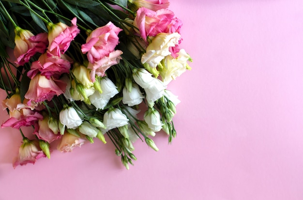 Gros plan, de, bouqet, beau, fleurs eustoma rose et blanc