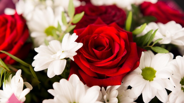 Gros plan bouquet de roses rouges avec marguerites