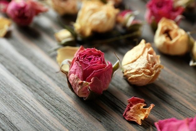 Gros plan de boutons de rose séchés