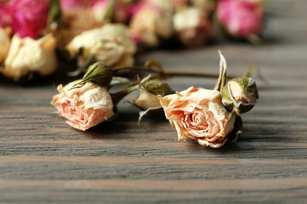 Gros plan de boutons de rose séchés