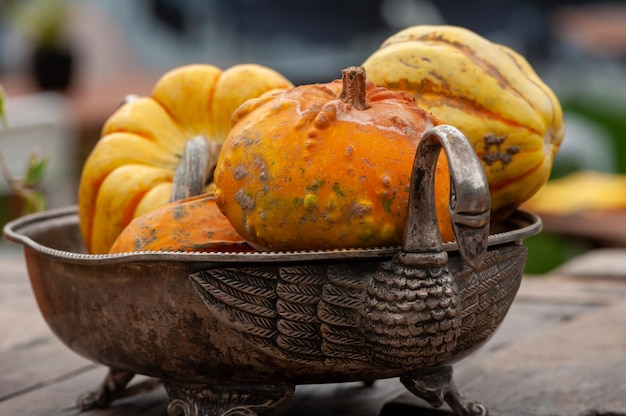 Gros plan d'un braillement de fruits en bronze avec courge ornementale