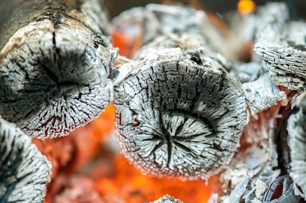 Gros plan de bûches de bois brûlant avec des flammes de feu jaunes chaudes.