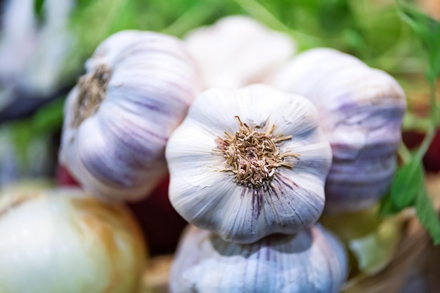 Gros plan de bulbes d'ail crus et non pelés de la ferme biologique