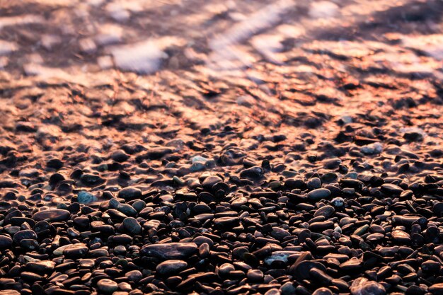 Un gros plan des cailloux sur la plage