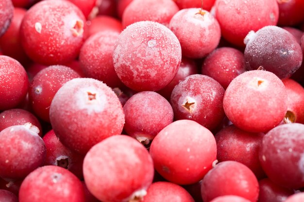 Gros plan de canneberges aux fruits rouges