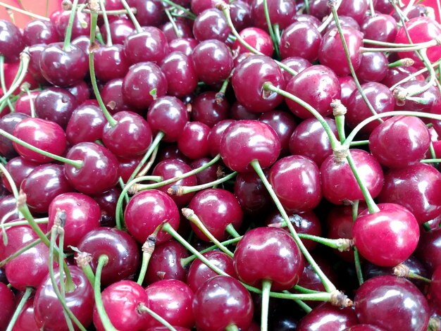 Gros plan de cerises rouges mûres