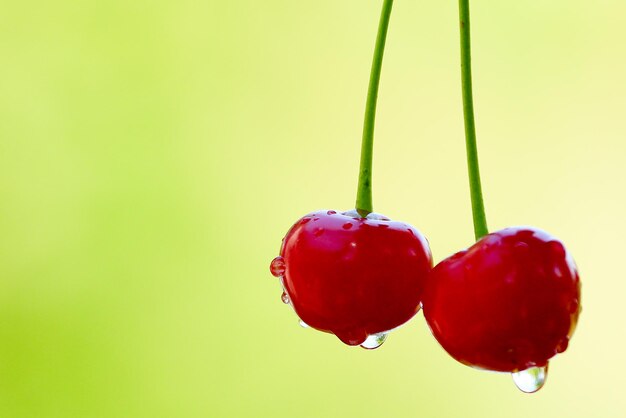 Photo un gros plan des cerises rouges