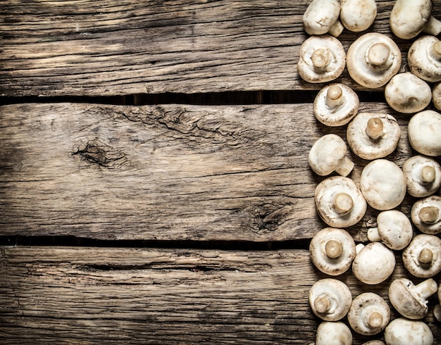 Gros plan sur les champignons frais et mûrs