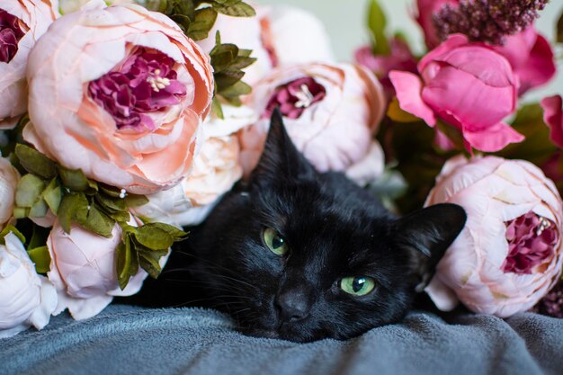 Photo un gros plan d'un chat allongé sur le lit à la maison