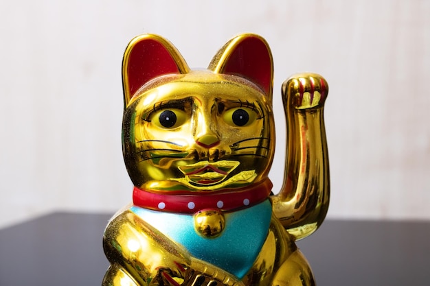 Gros plan chat Maneki neko japon porte-bonheur