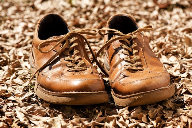 Gros plan sur des chaussures de mode en cuir marron dans le jardin en plein air