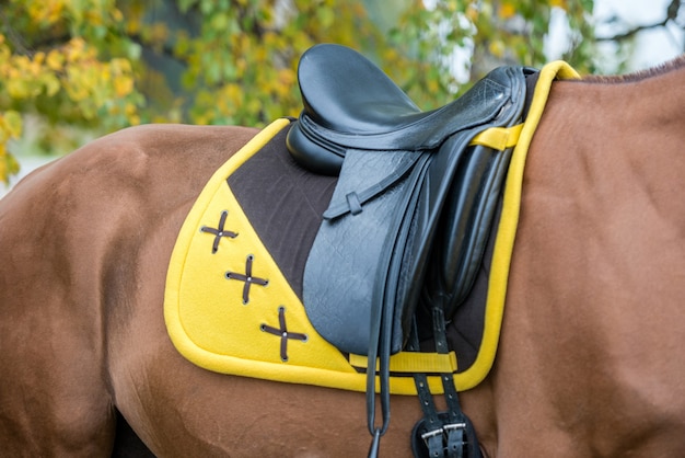 Gros plan sur un cheval rouge sellé avec un tapis de selle jaune et des bandages se dresse sur le terrain