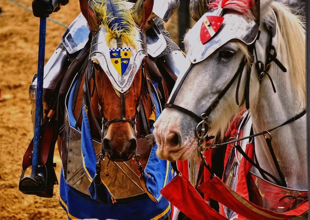 Photo un gros plan des chevaux