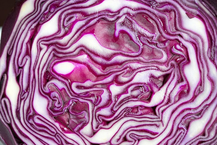 Photo gros plan sur le chou salade tranché