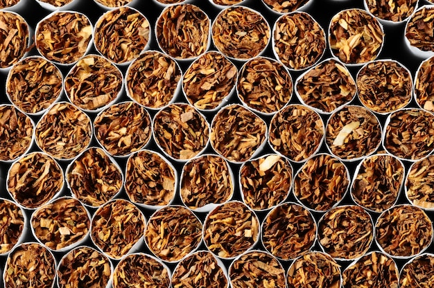 Gros plan de cigarettes de tabac Fond ou texture