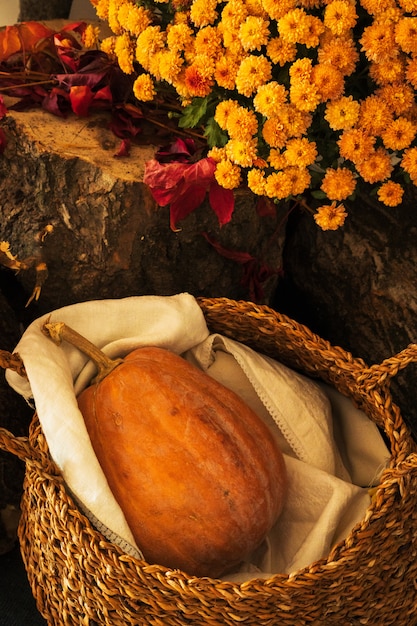 Gros plan d'une citrouille et panier de fleurs