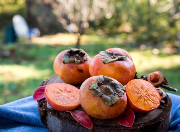 Photo un gros plan des citrouilles sur le champ