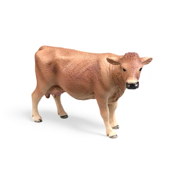 Un gros plan d'un cochon sur un fond blanc
