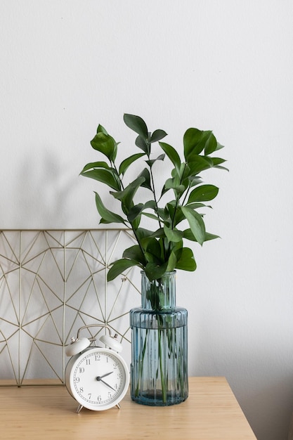 Gros plan d'une composition minimale de feuilles vertes fraîches sur une branche dans un vase en verre et un réveil