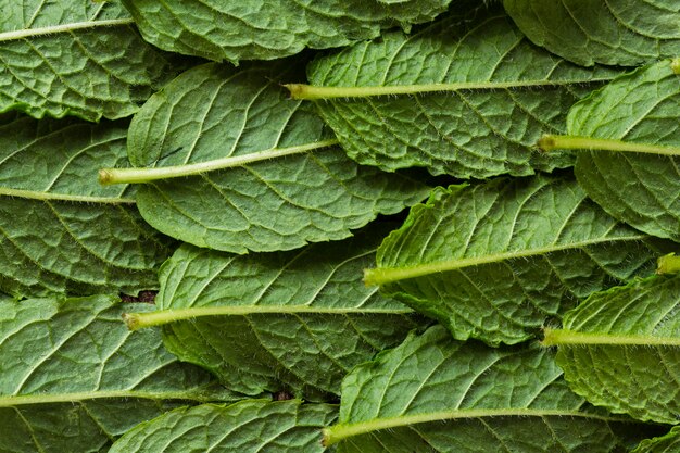 Photo gros plan sur la composition de la texture des aliments délicieux