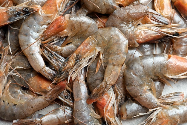 Gros plan de crevettes crues fraîches