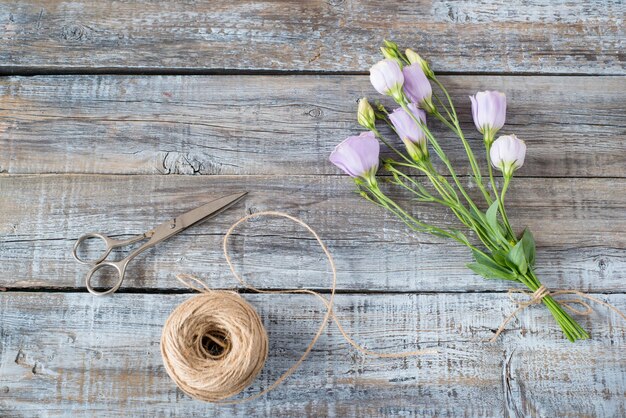 Photo un gros plan de crocus sur un fond blanc