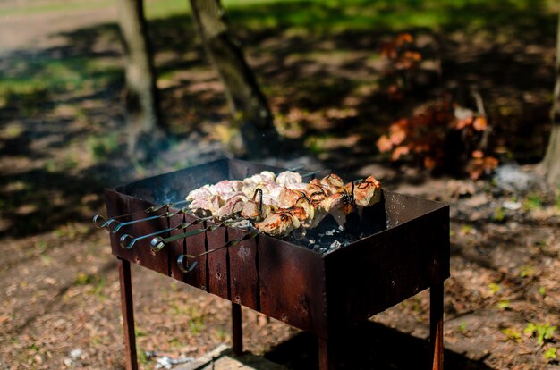 Photo gros plan sur la cuisson barbecue dans la nature