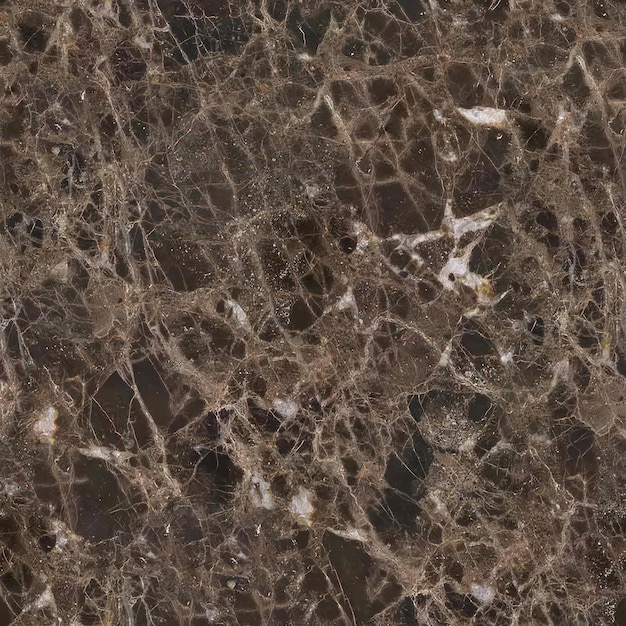 Un gros plan d'une dalle de marbre avec un motif en marbre noir et marron.