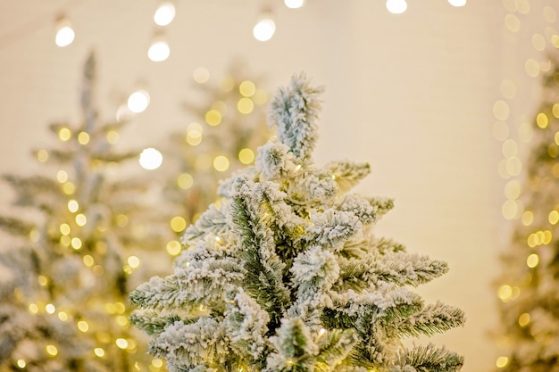 Gros plan sur un décor de fête un arbre de Noël