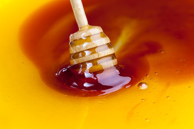 Gros plan sur le délicieux miel d'abeille