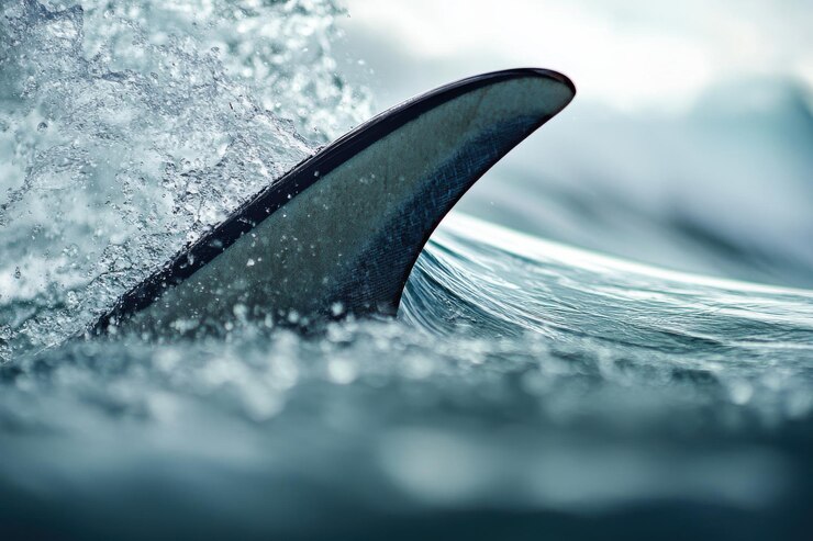Photo un gros plan détaillé d'une nageoire de planche de surf mettant en évidence les textures et les dessins pour les amateurs de surf