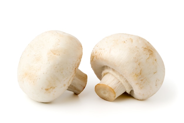 Gros plan de deux champignons champignon sur blanc. Isolé