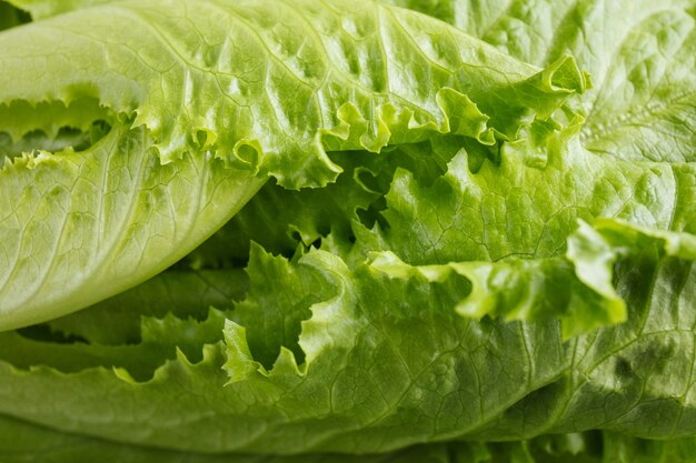 Gros plan sur divers ingrédients pour salade isolé