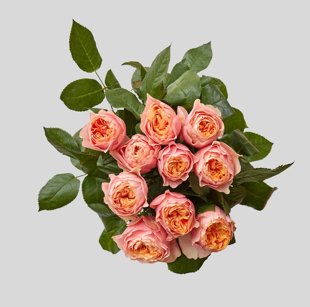 Gros plan du bouquet rose de rose avec des feuilles vertes sur fond gris