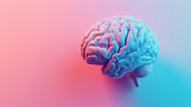 Gros plan du cerveau humain sur fond bleu et rose