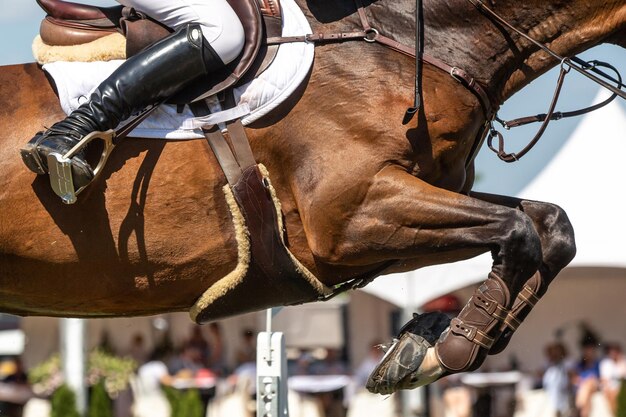 Photo un gros plan du cheval.